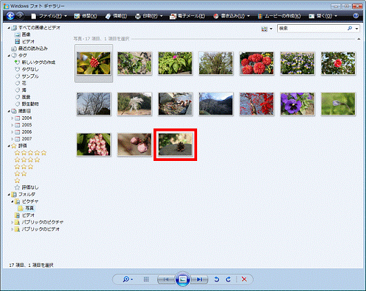 表示サイズを変更する画像をクリック