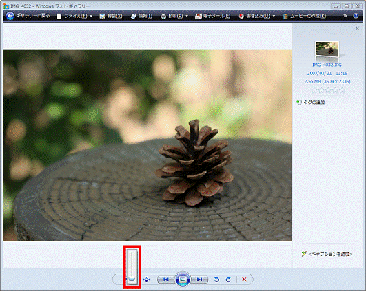 表示サイズを変更