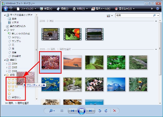 ウィンドウに表示された写真を左側の評価にドロップする方法
