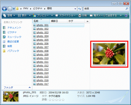 プレビュー表示
