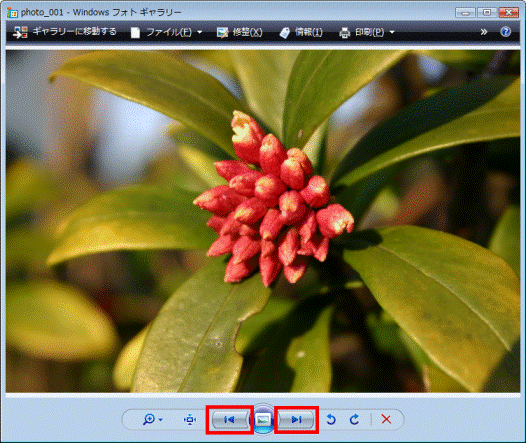 Windows フォトギャラリー