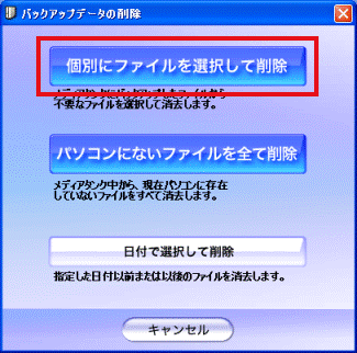 個別にファイルを選択して削除