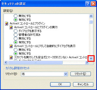  ActiveX コントロールとプラグインの実行