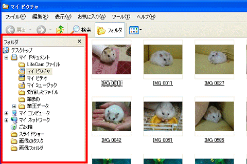 FMV Q&A - [Windows XP] 「画像のタスク」が表示されません。 - FMV