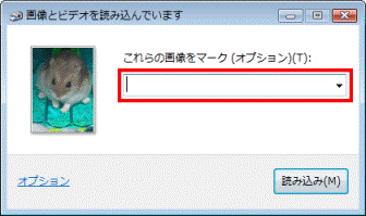 これらの画像をマーク（オプション）