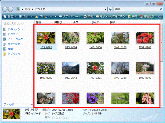 ファイル名、フォルダ名が表示された状態