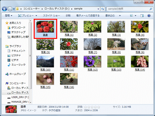 ファイルが移動したことを確認