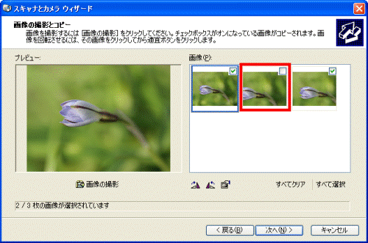 保存しない画像のチェックを外す
