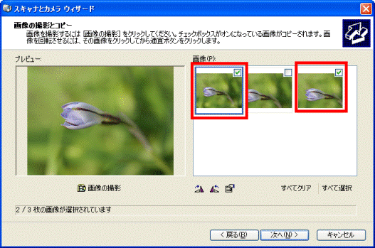 保存する画像のチェックを確認