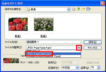 ファイルの種類(JPEG)
