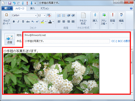 宛先や件名、本文を入力