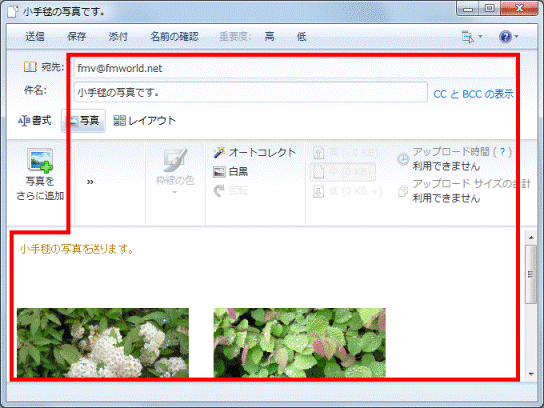 宛先や件名、本文を入力