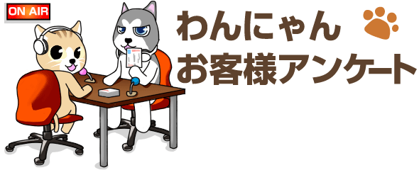 わんにゃん　お客様アンケート