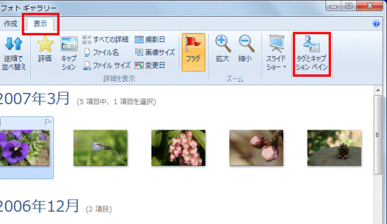 タグとキャプションペイン