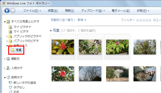 フォルダーの選択
