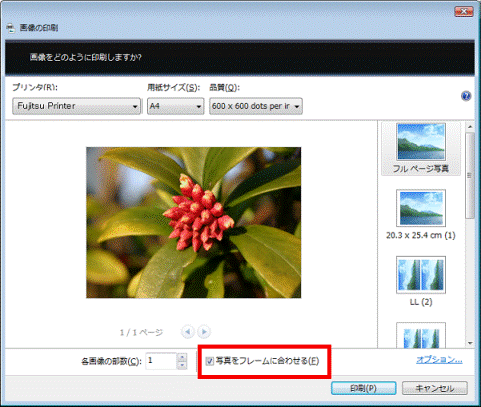 枠の塗りつぶし