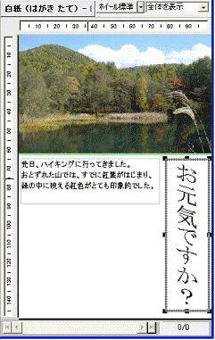 表示サイズの変更