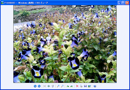 「Windows 画像とFAXビューア」
