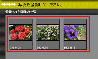 選択した画像の表示の確認