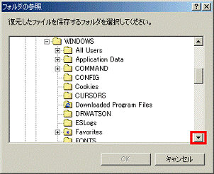 ▼ボタンをクリックして、SYSTEMフォルダを確認