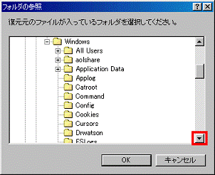 ▼ボタンをクリックして、Optionsフォルダを確認