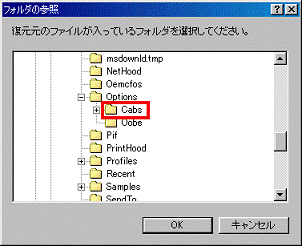 Optionsフォルダ - Cabsフォルダをクリック