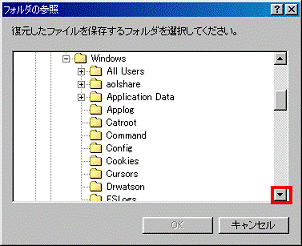 ▼ボタンをクリックして、SYSTEMフォルダを確認