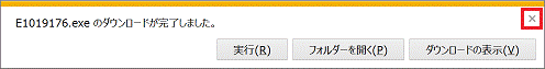 E1019176.exe のダウンロードが完了しました。
