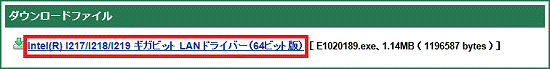 「ダウンロードファイル」