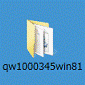 qw1000345win81