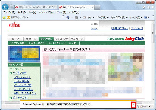 Internet Explorerは、選択された閲覧の履歴を削除しました。