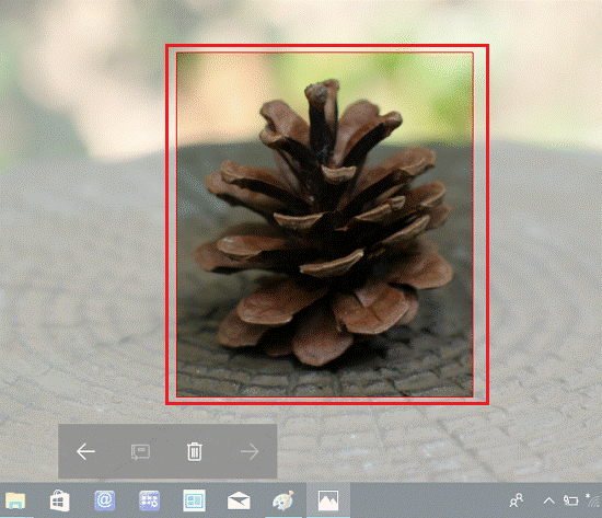 「四角形の領域切り取り」で領域を指定