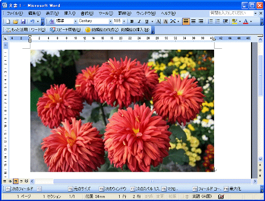 Microsoft Office Word 2003　-　図の表示
