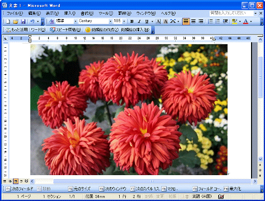 Microsoft Office Word 2003　-　貼り付け
