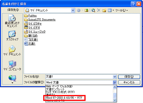 Word97-2003 & 6.0/95-RTF