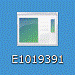 E1019391