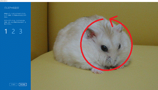 円を描くのジェスチャ