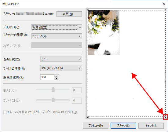スキャン範囲を選択