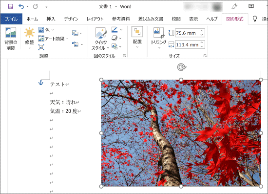 画像ファイルが変更されたことを確認