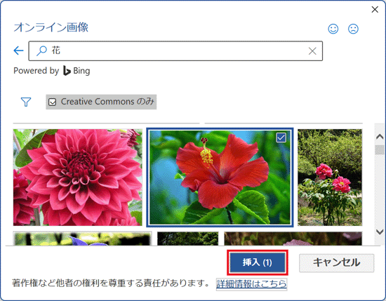 「挿入」ボタンをクリック