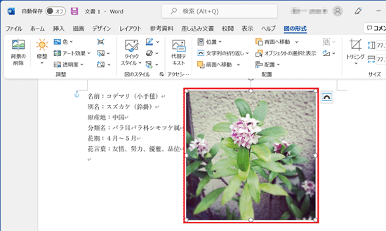 画像ファイルが変更されたことを確認