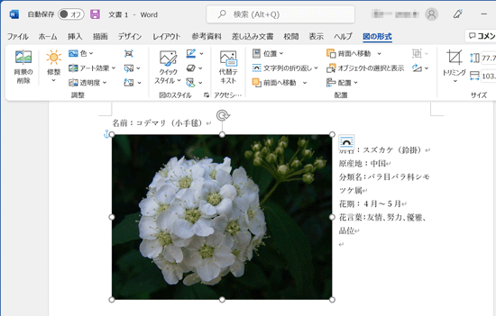 「四角」にした場合の画像