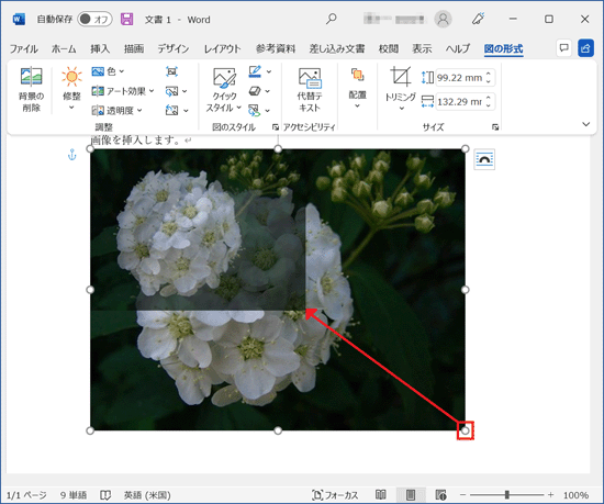 「サイズ変更ハンドル」をドラッグ