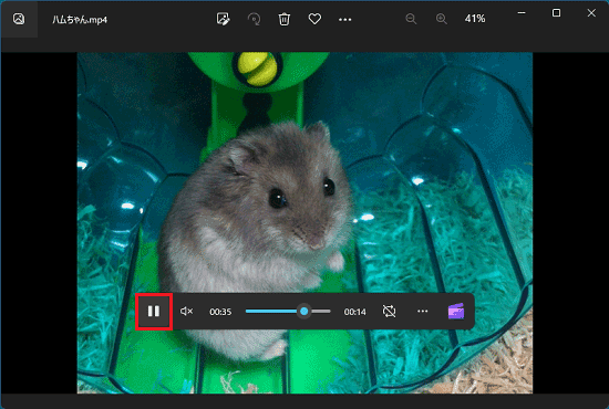 保存したいシーンで「一時停止」ボタンをクリック