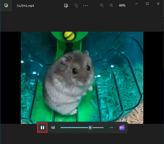 保存したいシーンで「一時停止」ボタンをクリック