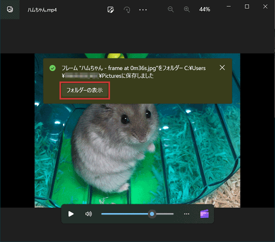 「フォルダーの表示」ボタンをクリック