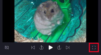 右下「最大化」でプレビュー画面を大きく