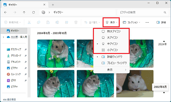 「表示」からお好みのサイズをクリック