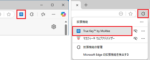 True Keyアイコンの表示例