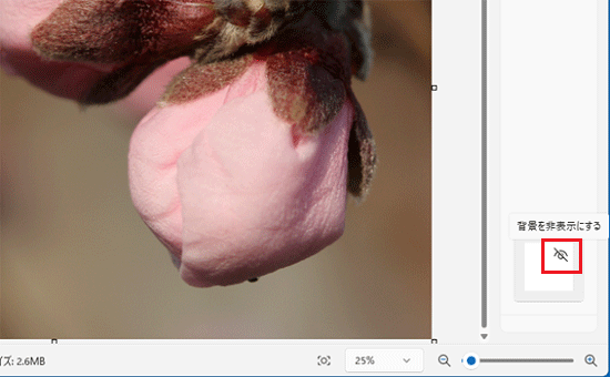 「背景を非表示にする」をクリック